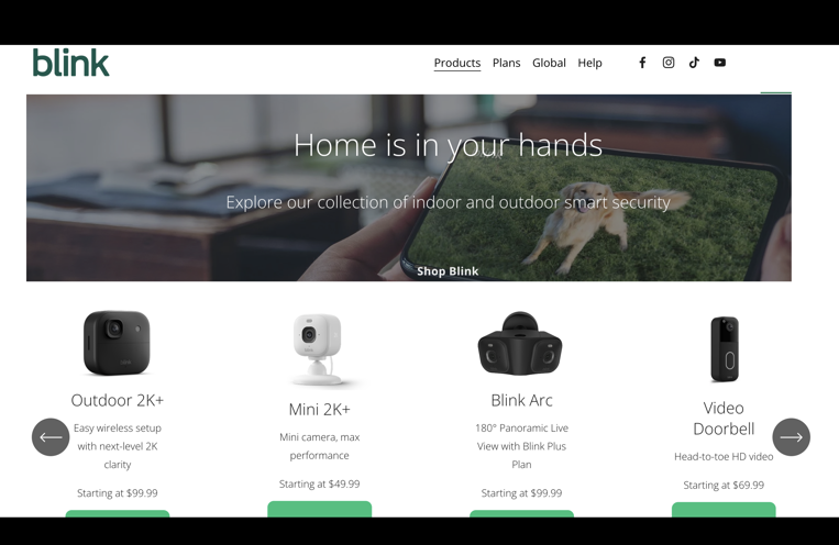 Screeshot of blink website